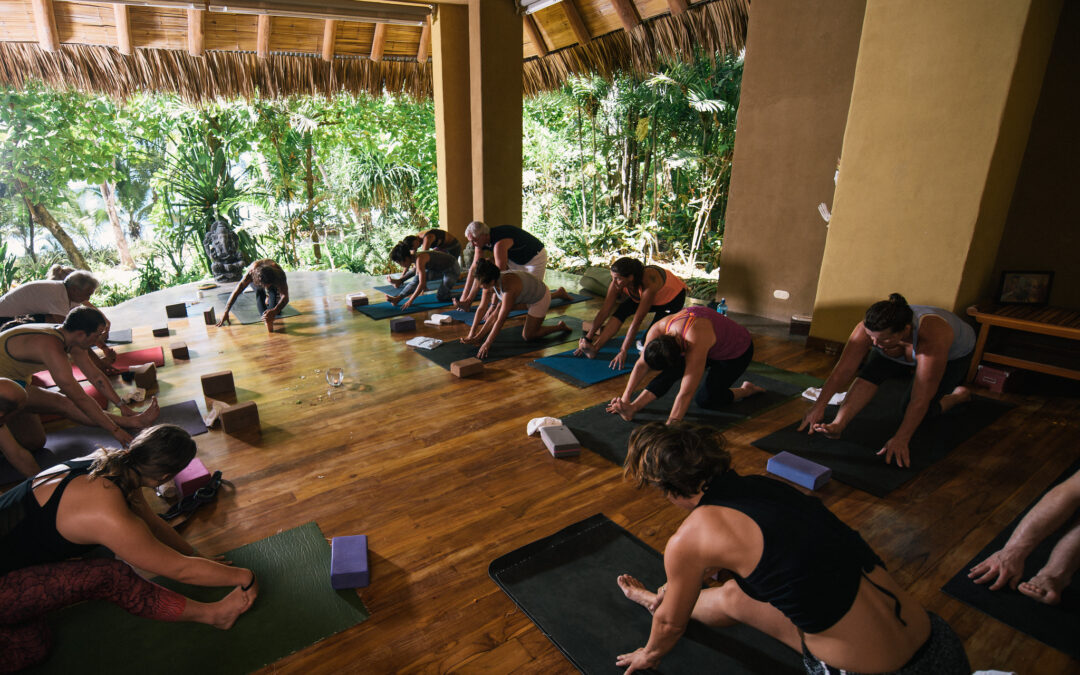 Why Pick Costa Rica for Your Yoga Retreat?